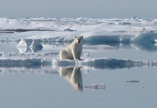 The sights are amazing - photo by Eric Forsyth © SW